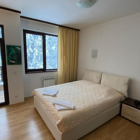 Charming Winter Studio Borovets Bagian luar foto