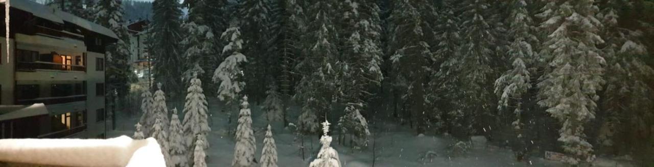 Charming Winter Studio Borovets Bagian luar foto
