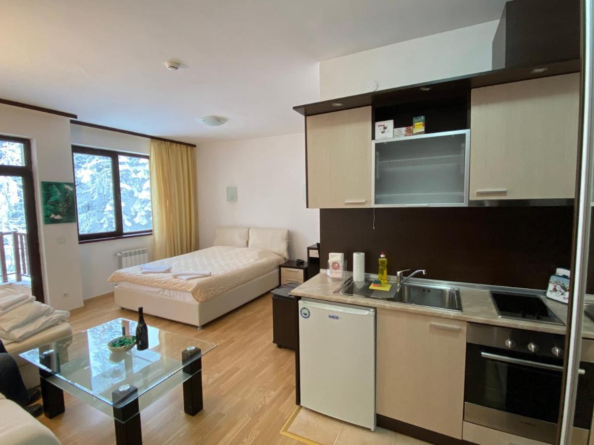 Charming Winter Studio Borovets Bagian luar foto